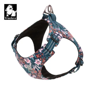 Harnais petit chien souple et léger réglable