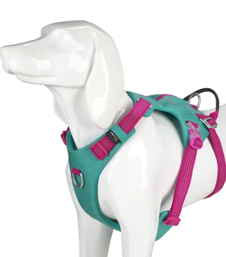 Harnais anti traction chien sangles rembourrées