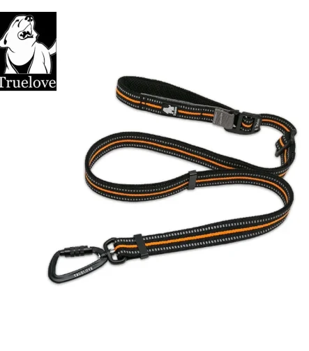 Laisse pour chien mains libres mousqueton double sport