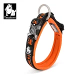 Collier chien réglable pour toutes les races