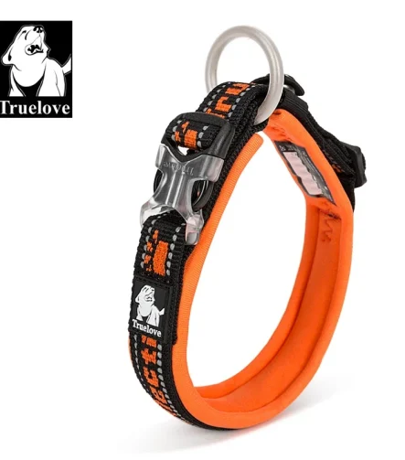 Collier chien réglable pour toutes les races