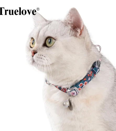 Collier chien doux peau sensible sans irritation