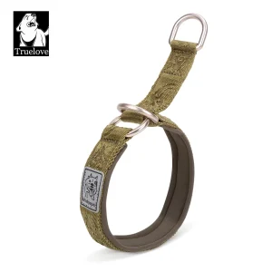 Collier chien nylon léger et confortable quotidien