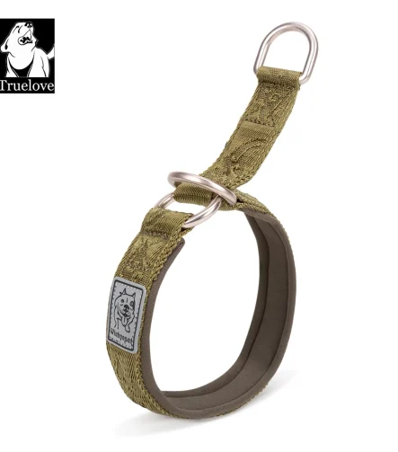 Collier chien nylon léger et confortable quotidien