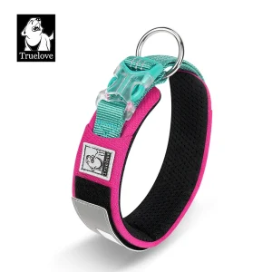 Collier chien réfléchissant sécurité promenade nuit