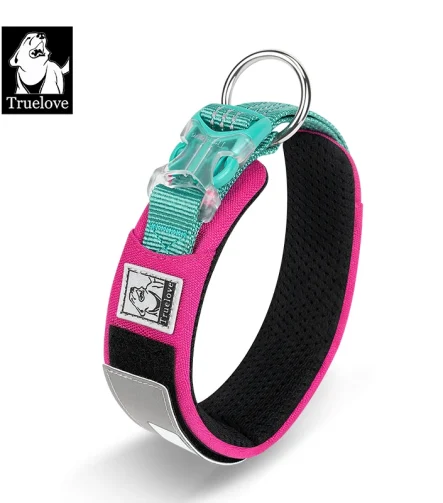 Collier chien réfléchissant sécurité promenade nuit