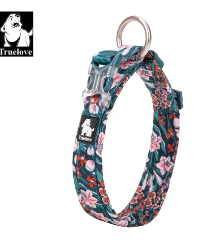 Collier chien chiot apprentissage doux et léger