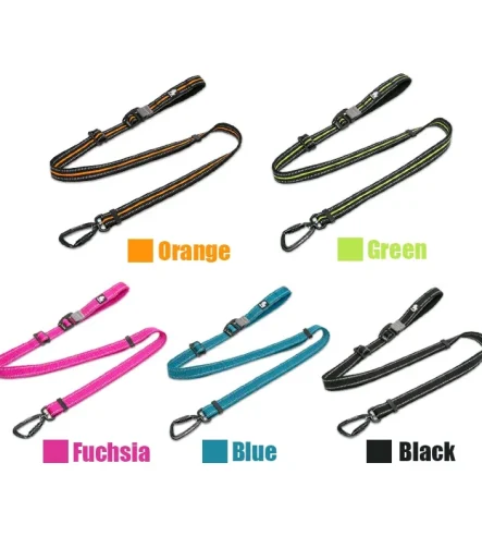 Laisse pour chien mains libres mousqueton double sport