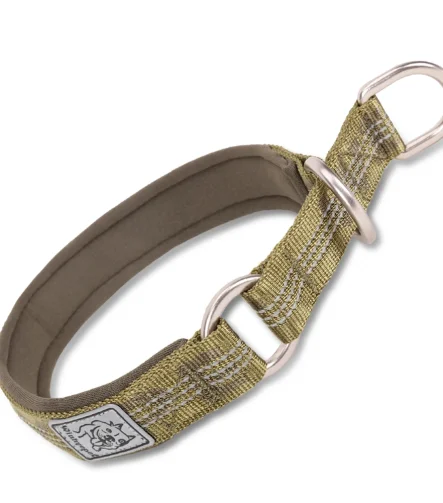 Collier chien rappel dressage éducation efficace