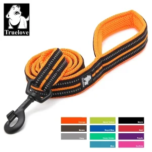 Laisse pour chien longue souple nylon 200cm douce