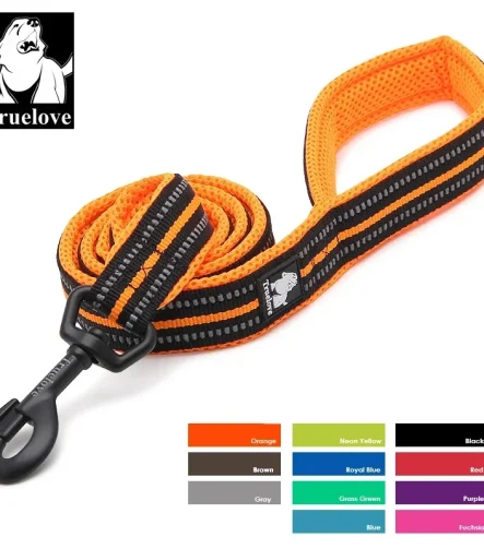 Laisse pour chien longue souple nylon 200cm douce
