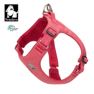 Harnais petit chien confortable sangles douces
