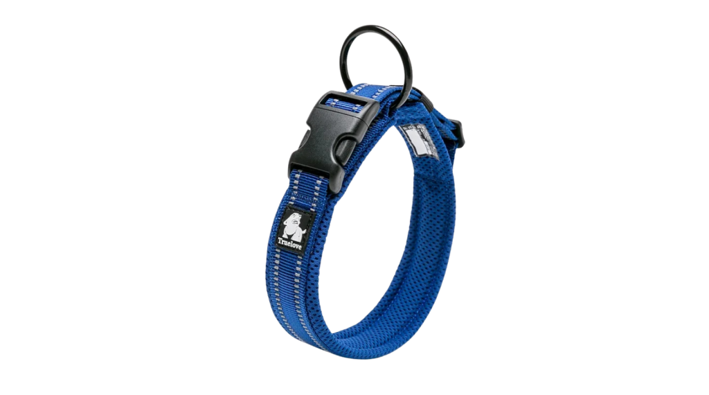 Collier chien bleu