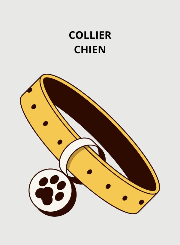 Collier Chien