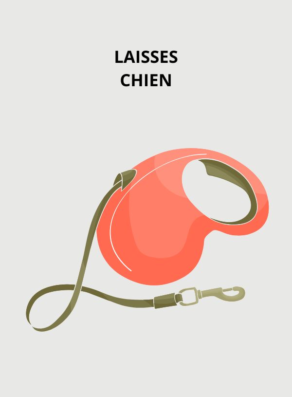 Laisses chien