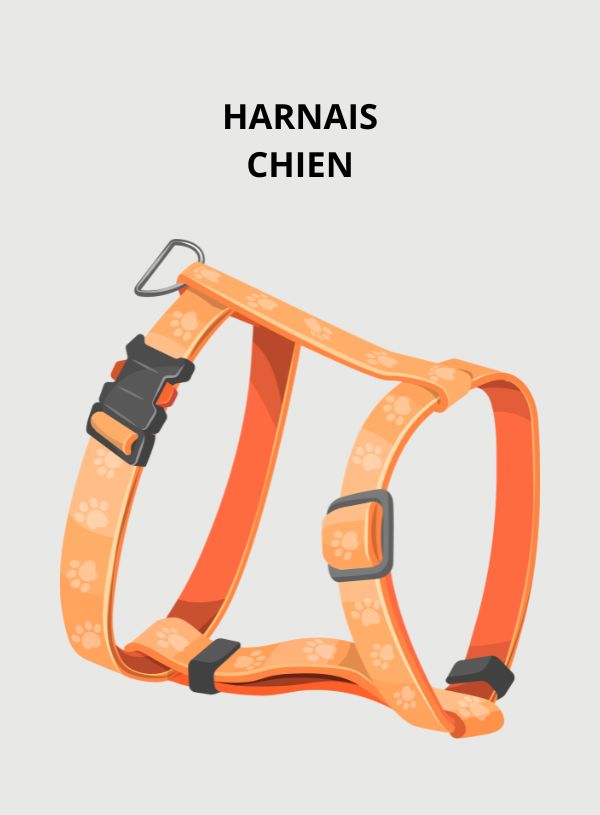 Harnais Chien