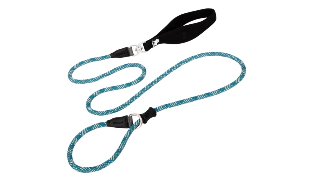 Laisse Chien Bleu