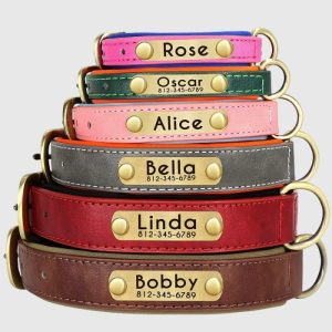 collier-chien-personnalise-cuir