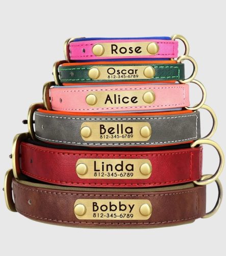 collier-chien-personnalise-cuir