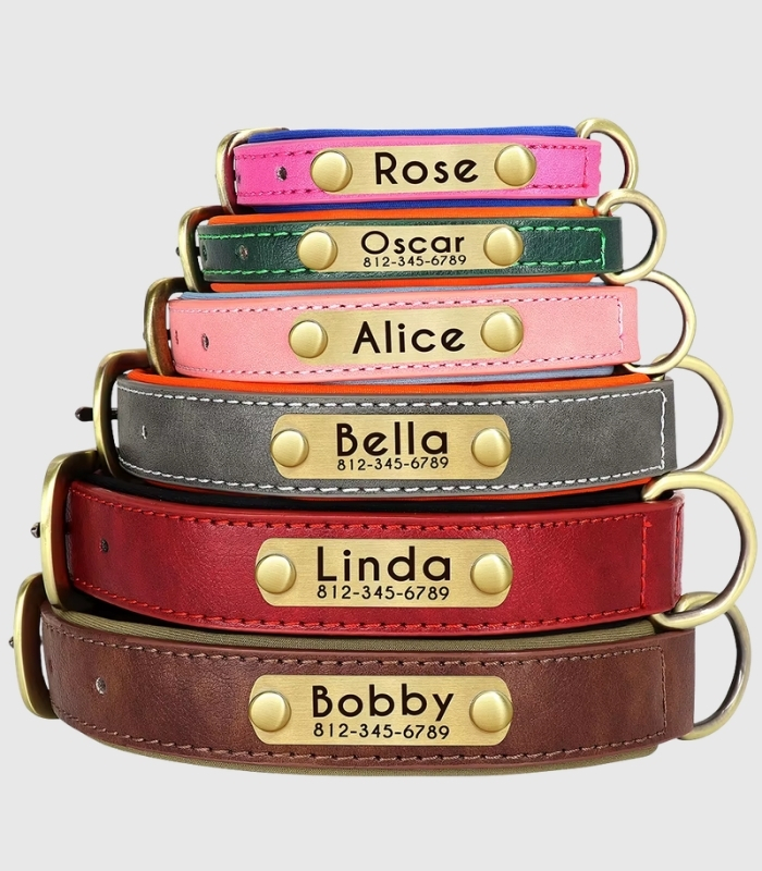 collier-chien-personnalise-cuir