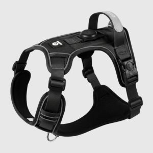 harnais-anti-traction-gros-chien-noir