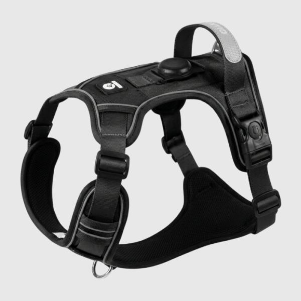 harnais-anti-traction-gros-chien-noir