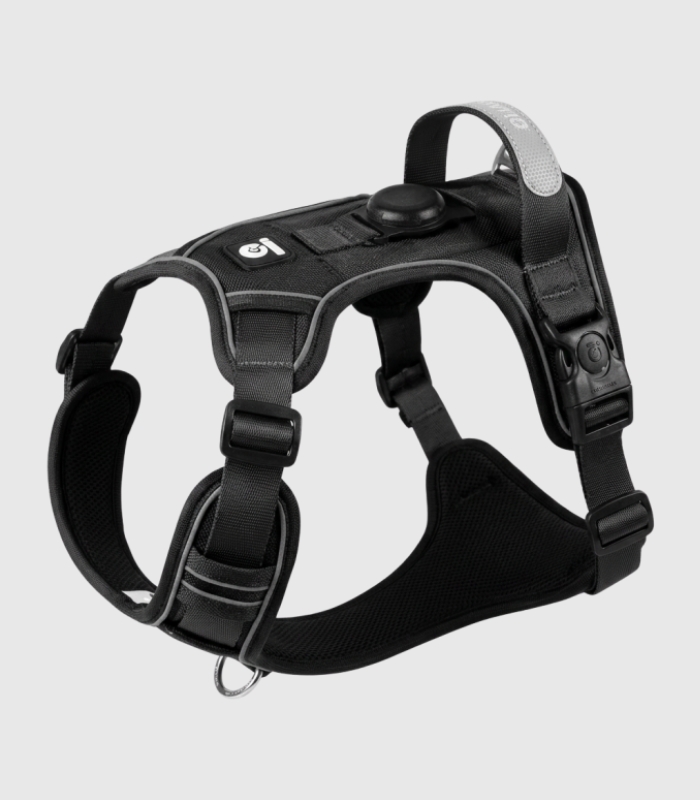 harnais-anti-traction-gros-chien-noir