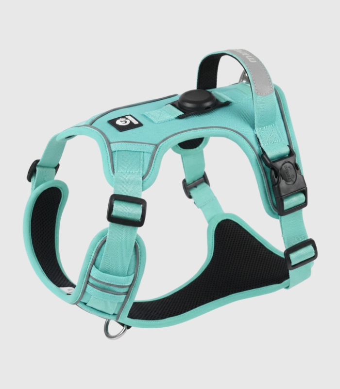 harnais-anti-traction-gros-chien-vert