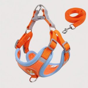 harnais-anti-traction-petit-chien-orange