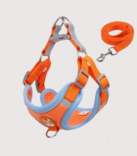 harnais-anti-traction-petit-chien-orange