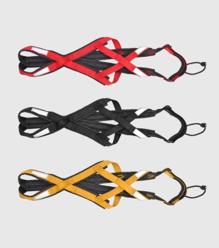 harnais-chien-sport-canicross-xback-couleur