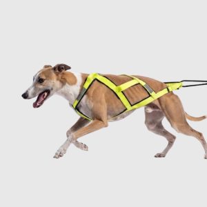 harnais-chien-sport-canicross-xback-jaune-equiper