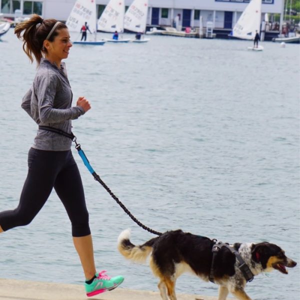 Laisse Mains Libres Chien Course Randonnée - Maitrise Chien