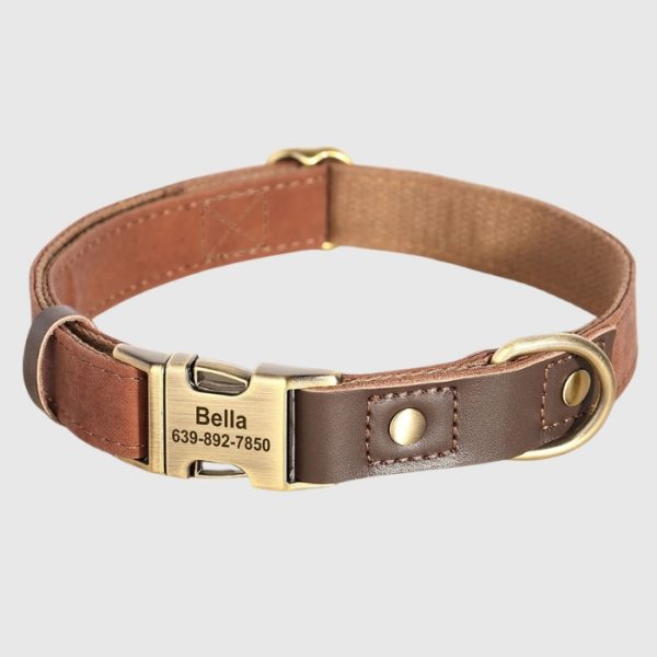 collier-chien-cuir-personnalise-plaque-gravee-brun
