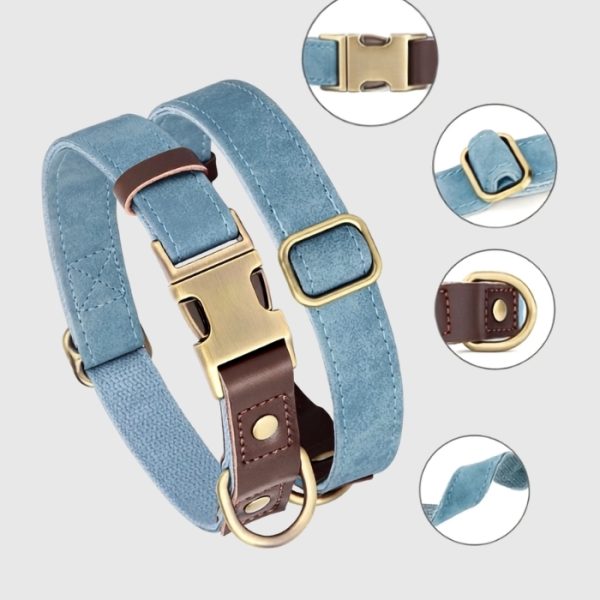 collier-chien-cuir-personnalise-plaque-gravee-details