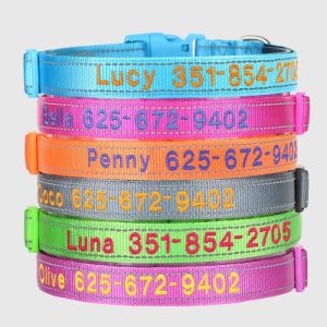 collier-chien-personnalise-reflechissant