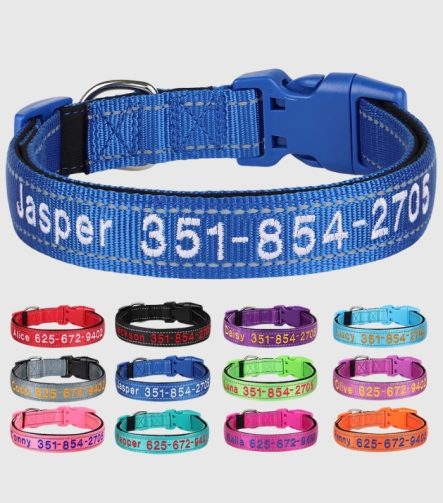 collier-chien-personnalise-reflechissant-couleur