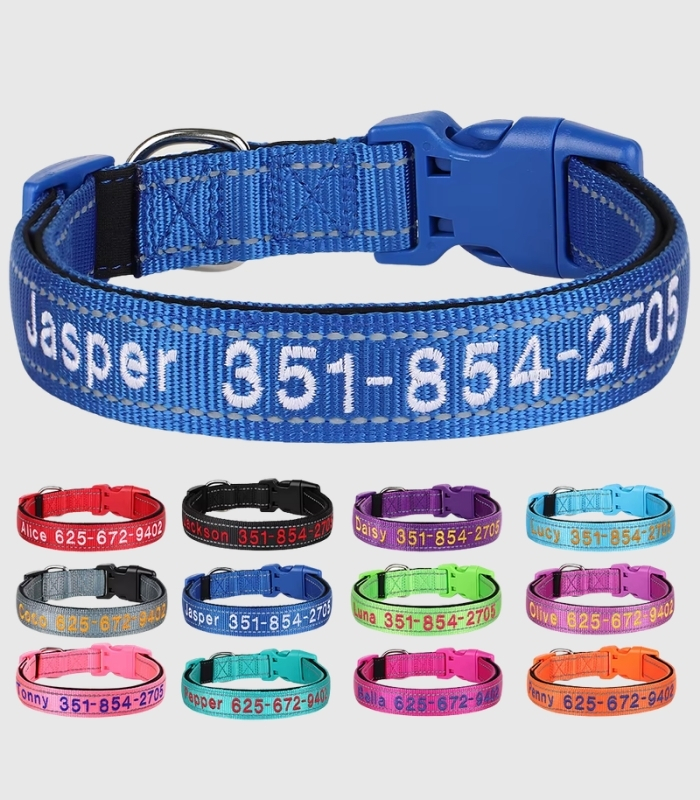 collier-chien-personnalise-reflechissant-couleur