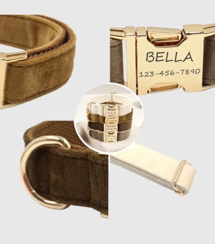 collier-chien-personnalise-velours-details