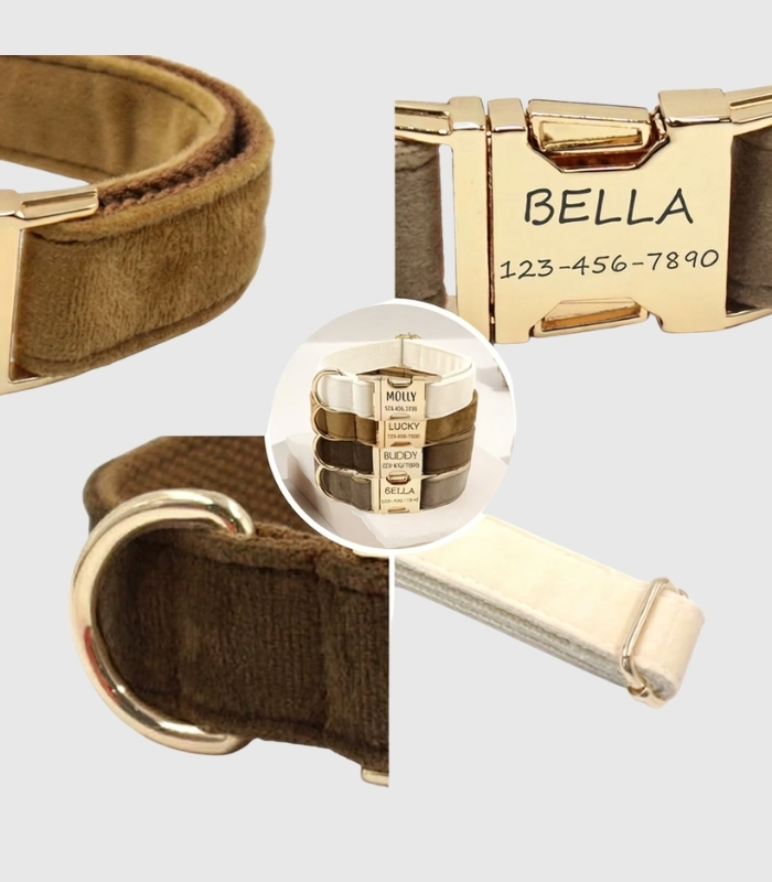 collier-chien-personnalise-velours-details