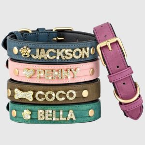 collier-petit-chien-cuir-personnalise-prenom