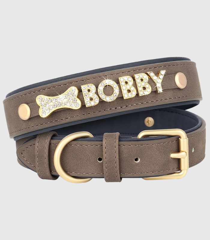 collier-petit-chien-cuir-personnalise-prenom-brun