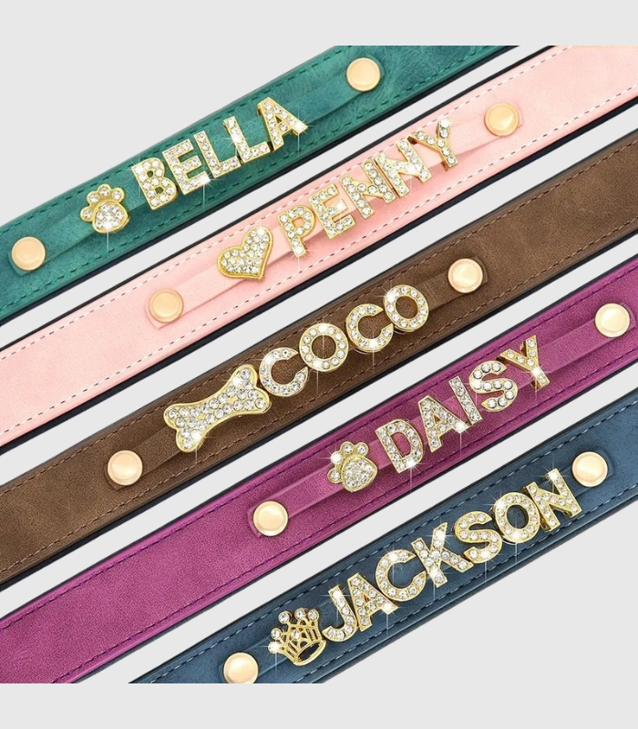 collier-petit-chien-cuir-personnalise-prenom-details