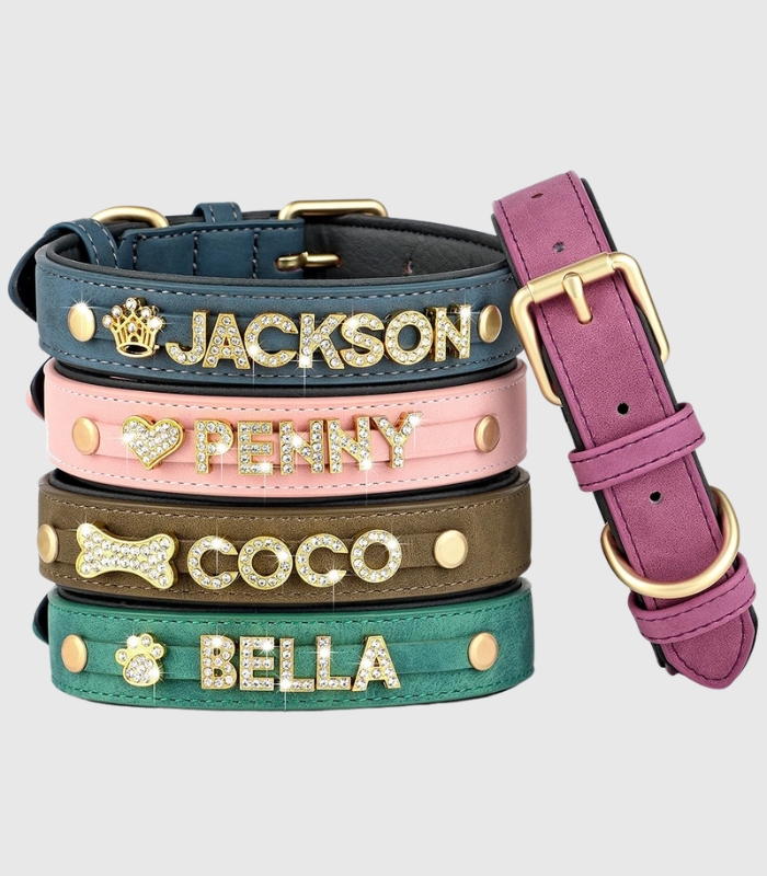 collier-petit-chien-cuir-personnalise-prenom