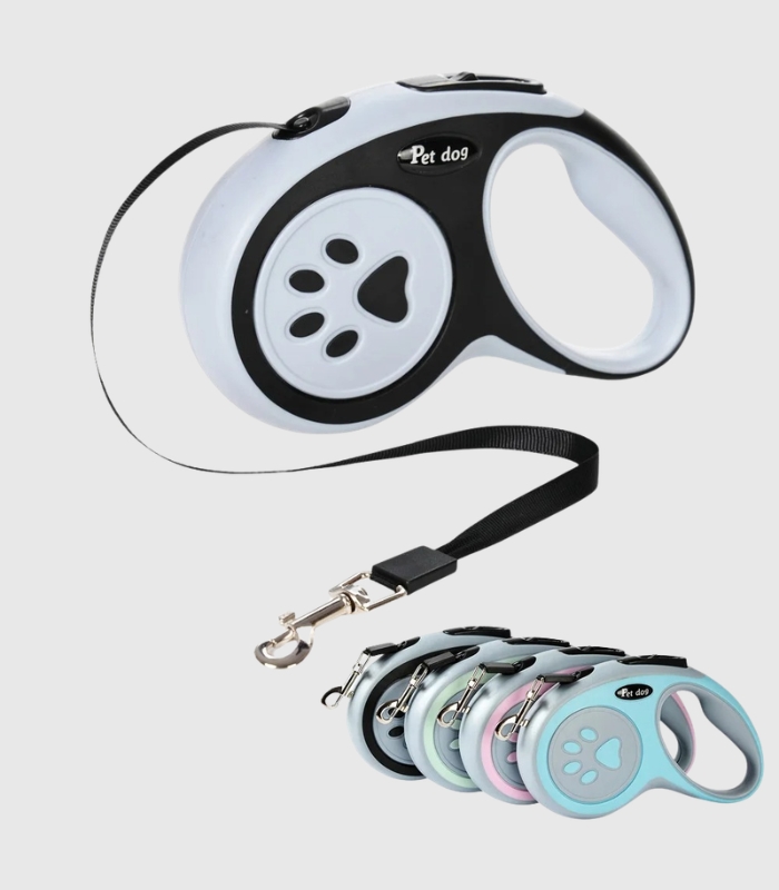 laisse-chien-enrouleur-retractable-petit-chien