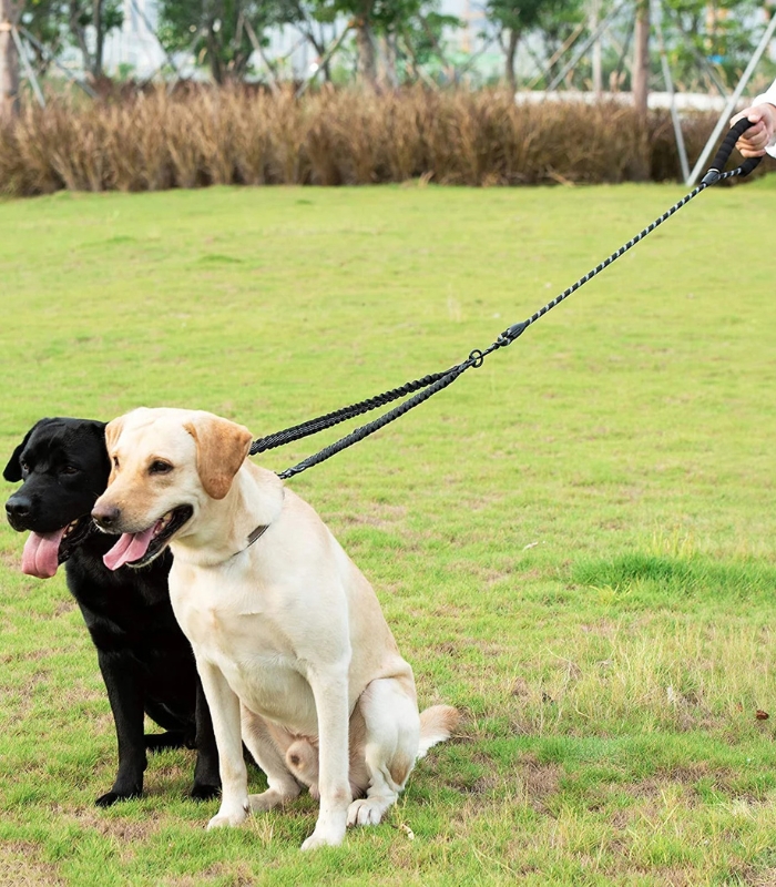 laisse-double-chien-elastique-amortisseur-equiper